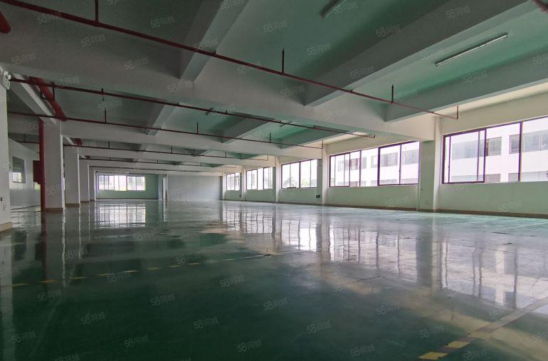 出租龙华大浪1000平标准厂房出租仓库招租500平起