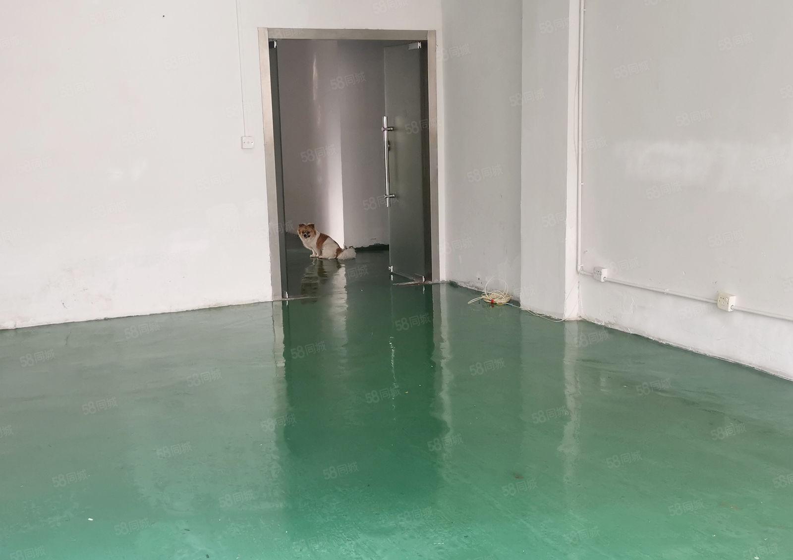 龙华观澜松元厦地铁站源硕科技园办公室厂房仓库80平招租