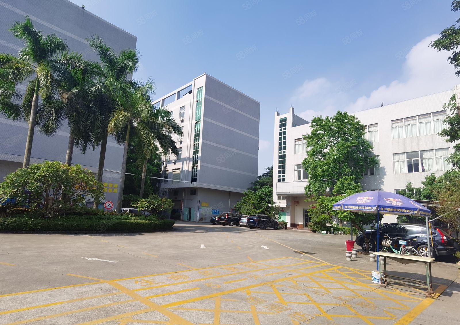 观澜新田工业区即将空出独栋标准厂房6000平方出租可分租