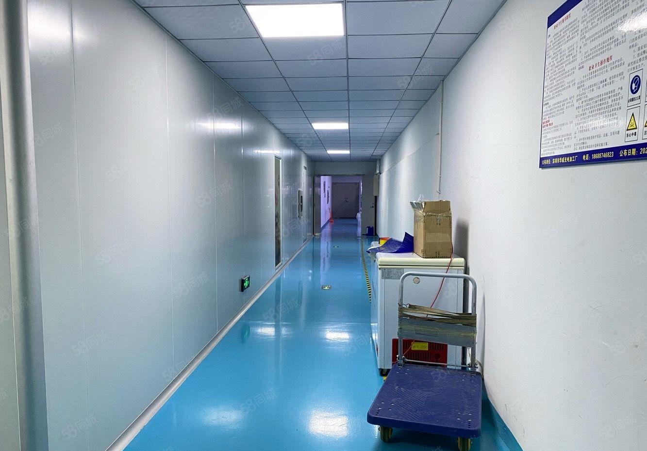 观澜梅观高速口1000平方全新无尘车间厂房仓库出租 无转让费