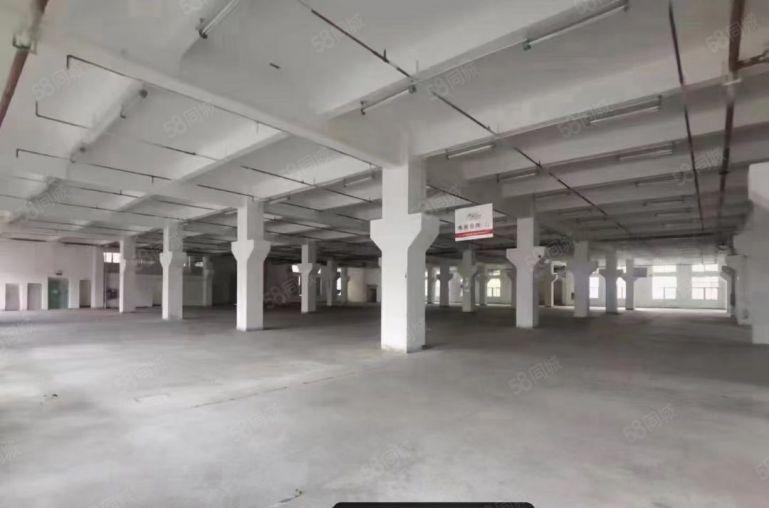 龙华清湖北地铁口新出一楼2000平层高6米带牛角厂房出租