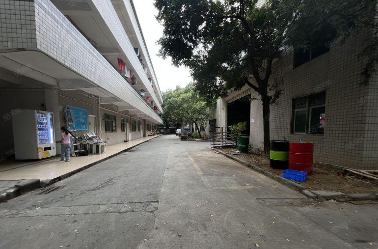 观澜花园式红本原房东独院厂房8500平方出租1500平起分租