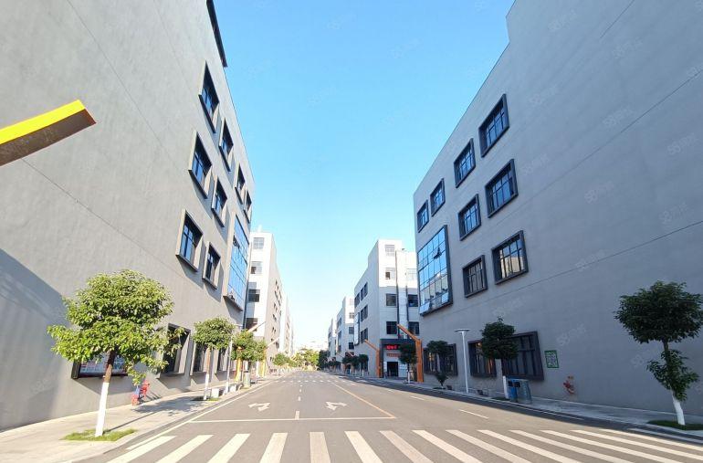 精装全新独栋4500平，可分租，形象玻璃幕墙外观，有两吨货梯