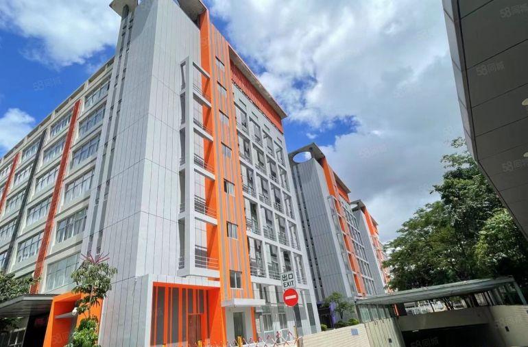 空地超大层高5.5米观澜高新产业园新出1000平一楼厂房出租