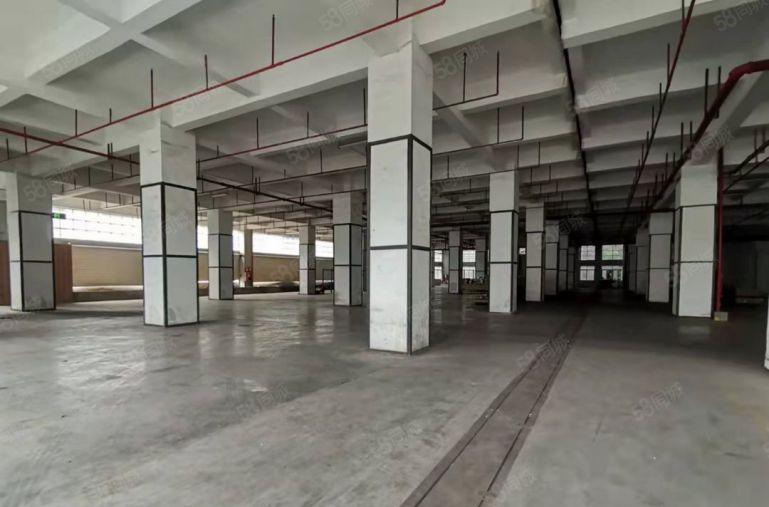 龙华27万平1000平起分电商物流仓库低价出租好停车交通便利