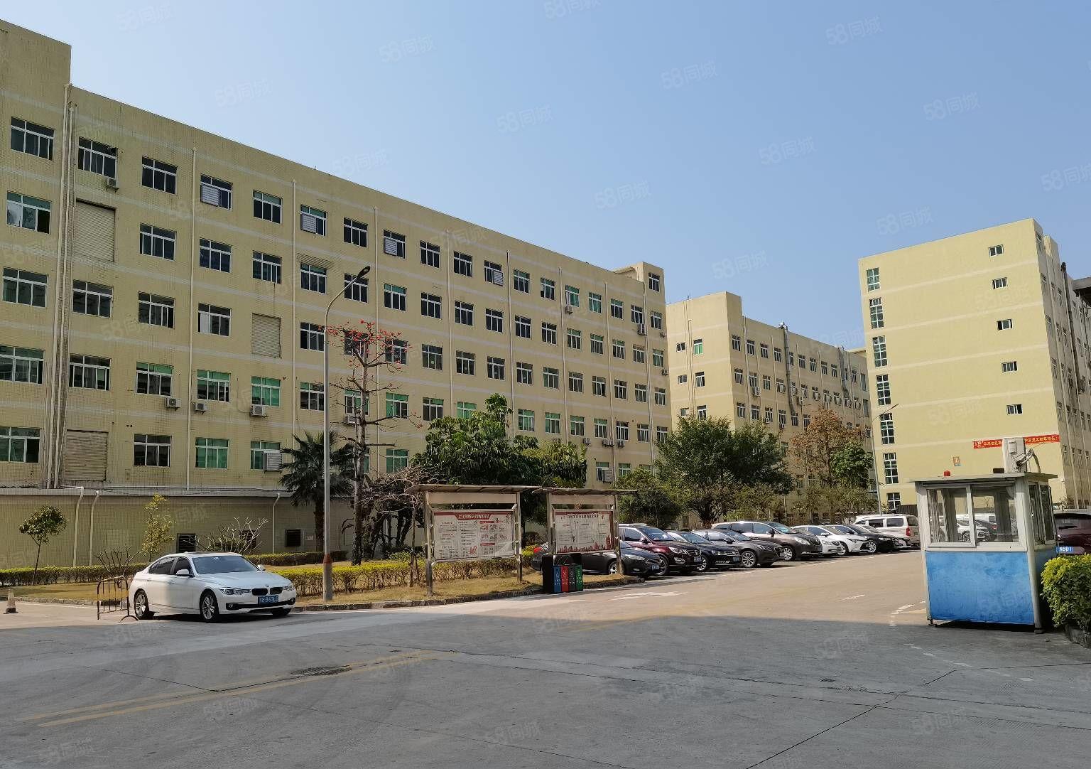 龙华大浪工业园新出一楼二楼带装修2150平厂房出租大小可分租