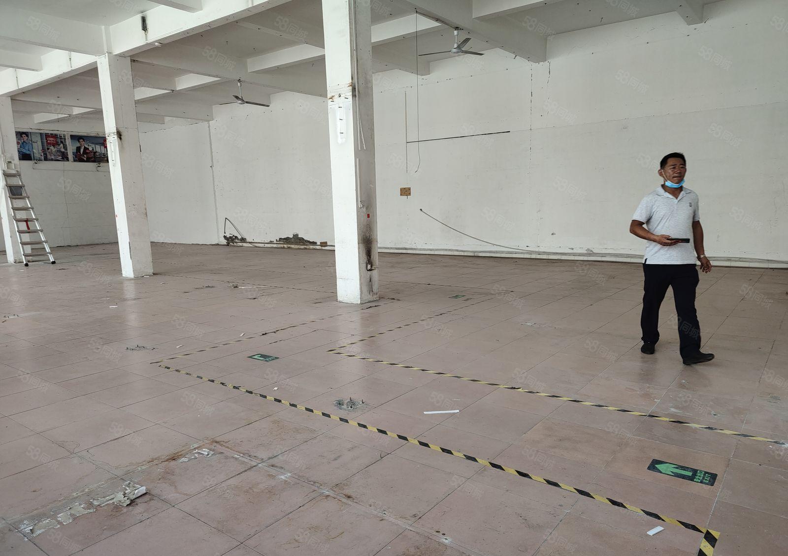 龙华大浪一楼仓库厂房出租，大型园区1000平