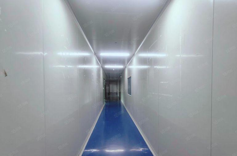 洁净车间龙华大浪精装修1380平洁净车间厂房出租带办公室