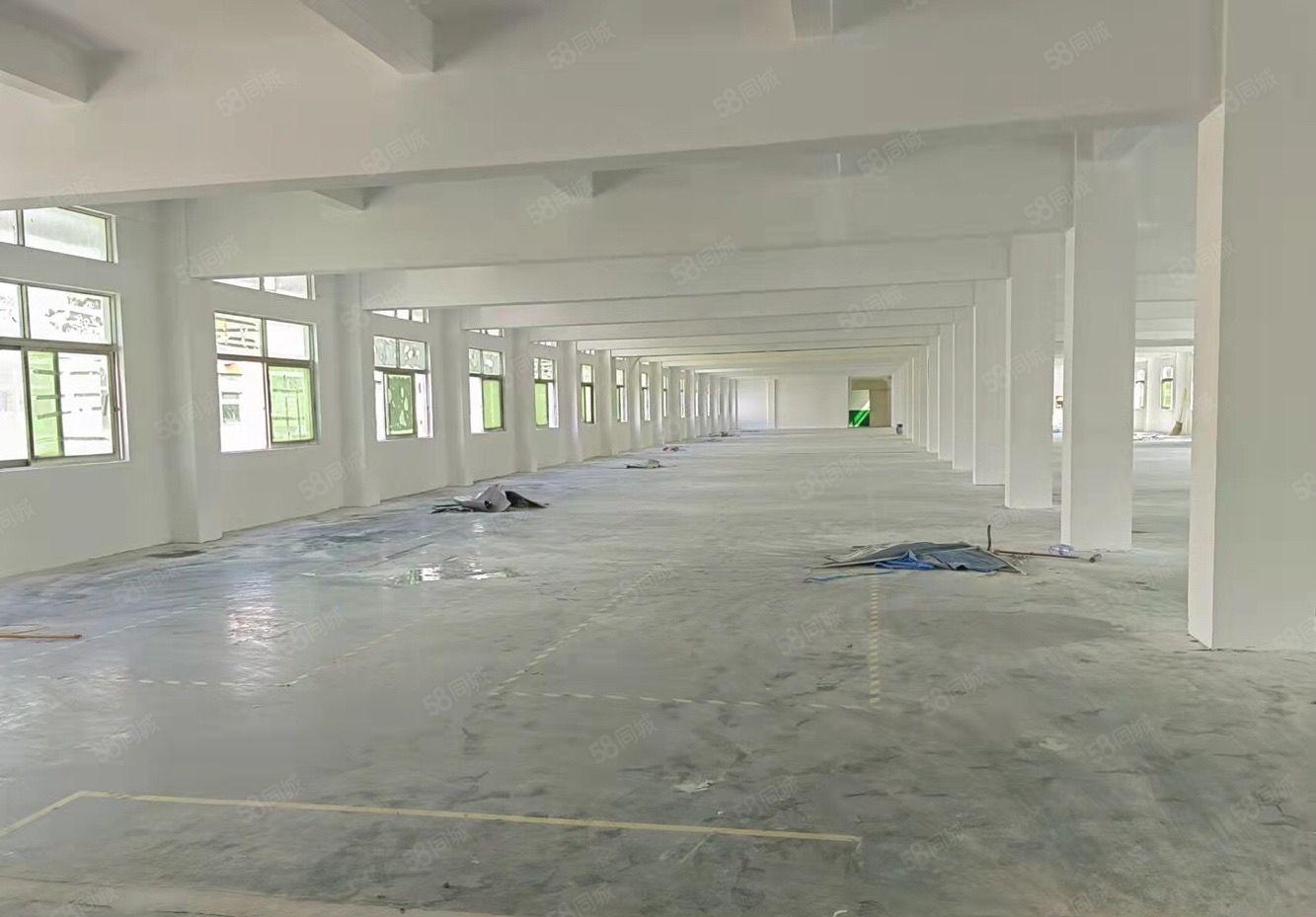 龙华观澜新出独门独院6600平配宿舍900平