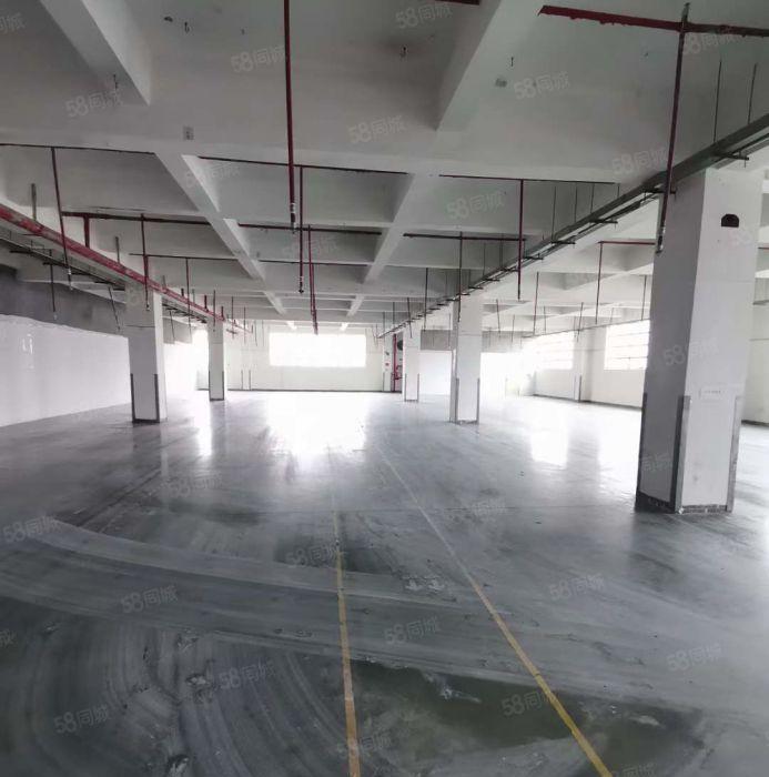 观澜章阁1000平方厂房业主直租，首月租金立减百分之10