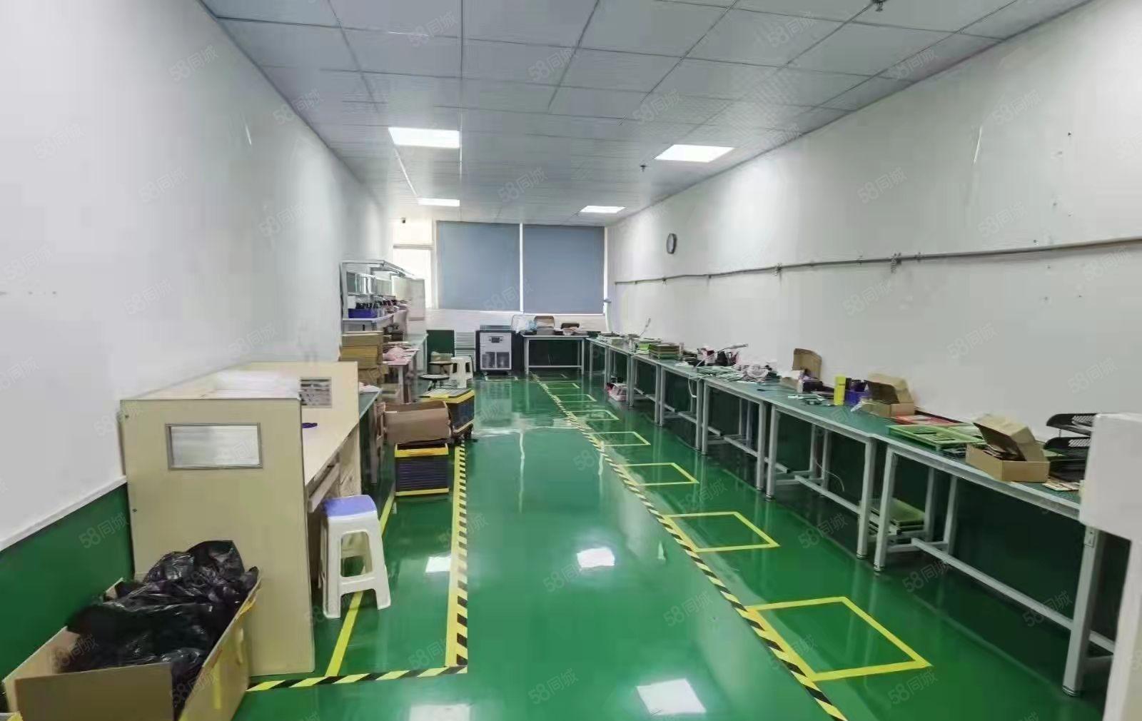 花园式厂房1000平米带豪华装修