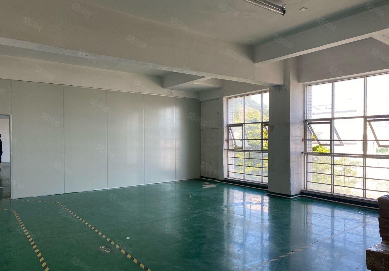 大浪小面积厂房，办公室320平出租，带精装修，拎包入驻