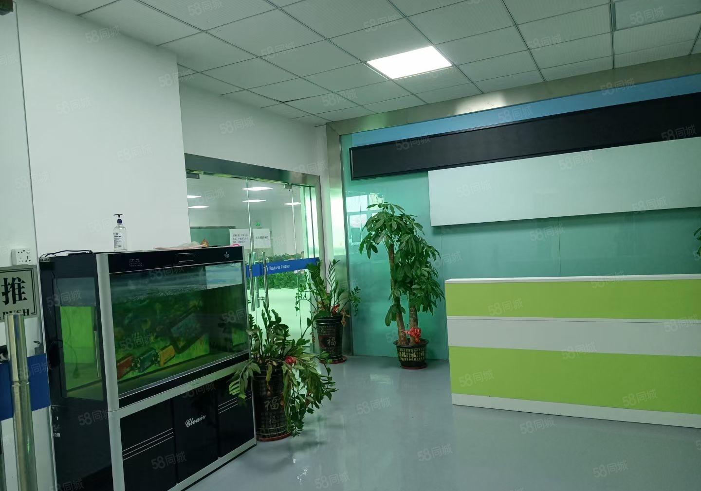 大浪特惠厂房20元每平带精装修