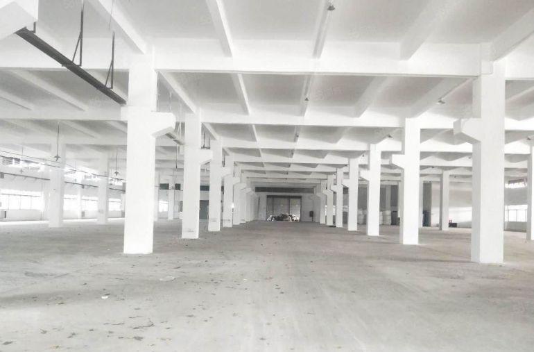 龙华大浪石龙仔500至2000平一楼厂房出租 高7米带航车