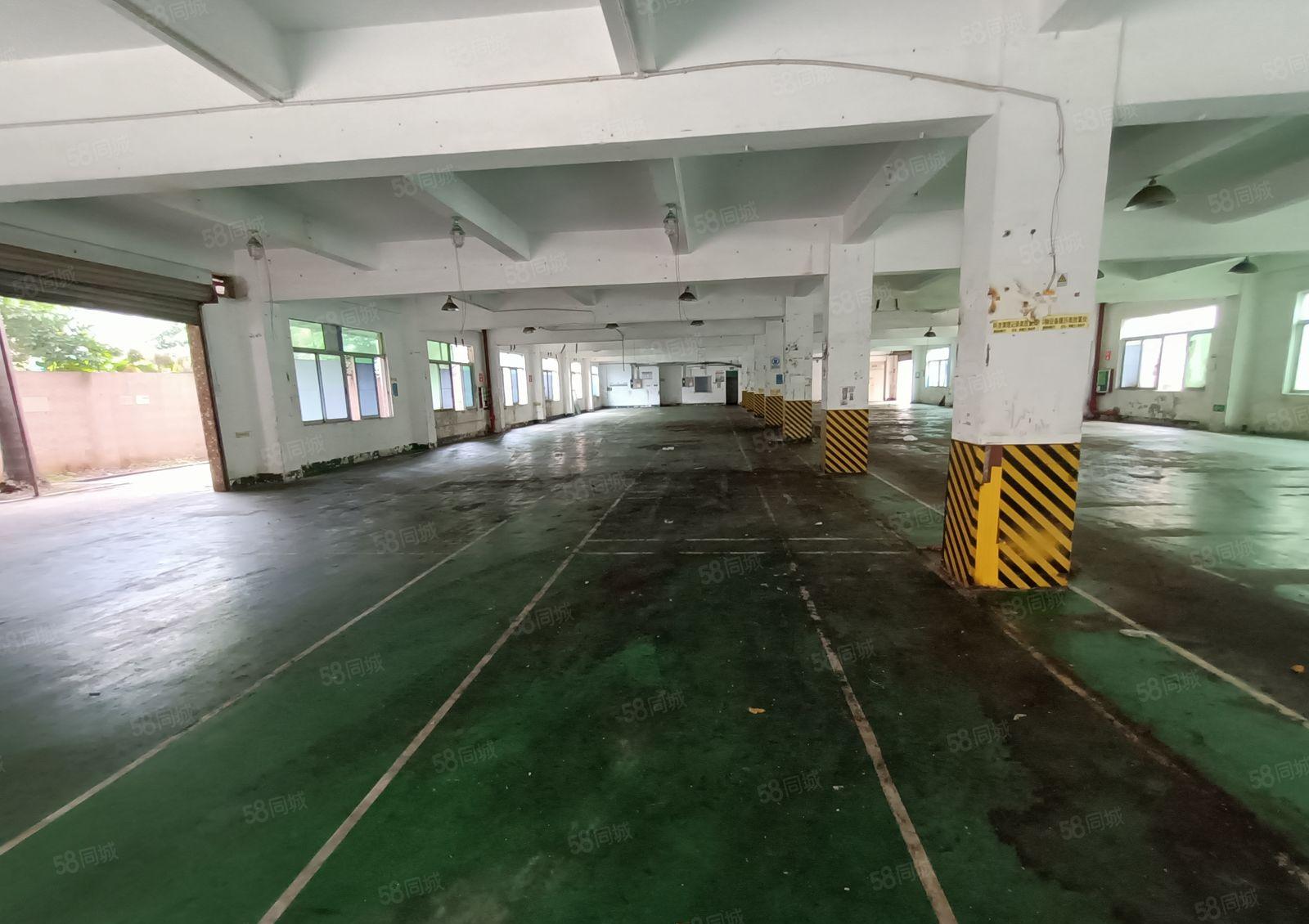 出租观澜环观中路独院厂房11500平优惠招租精装修现成水电。