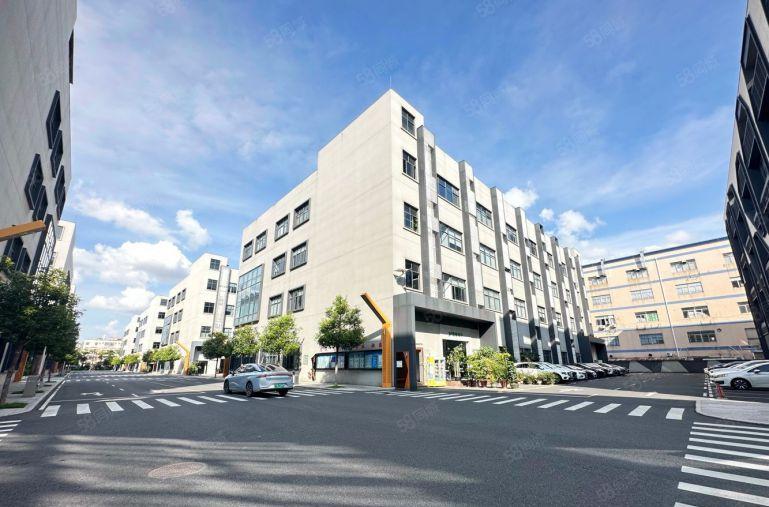 大浪德泰科技园新出240平方，精装修3加1格局，小面积办公室