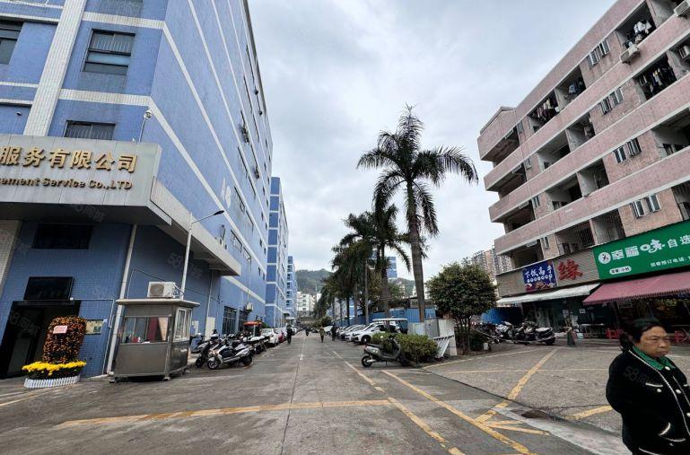 龙华观澜福城独门独院高标准工业园15600平仓库厂房出租分租