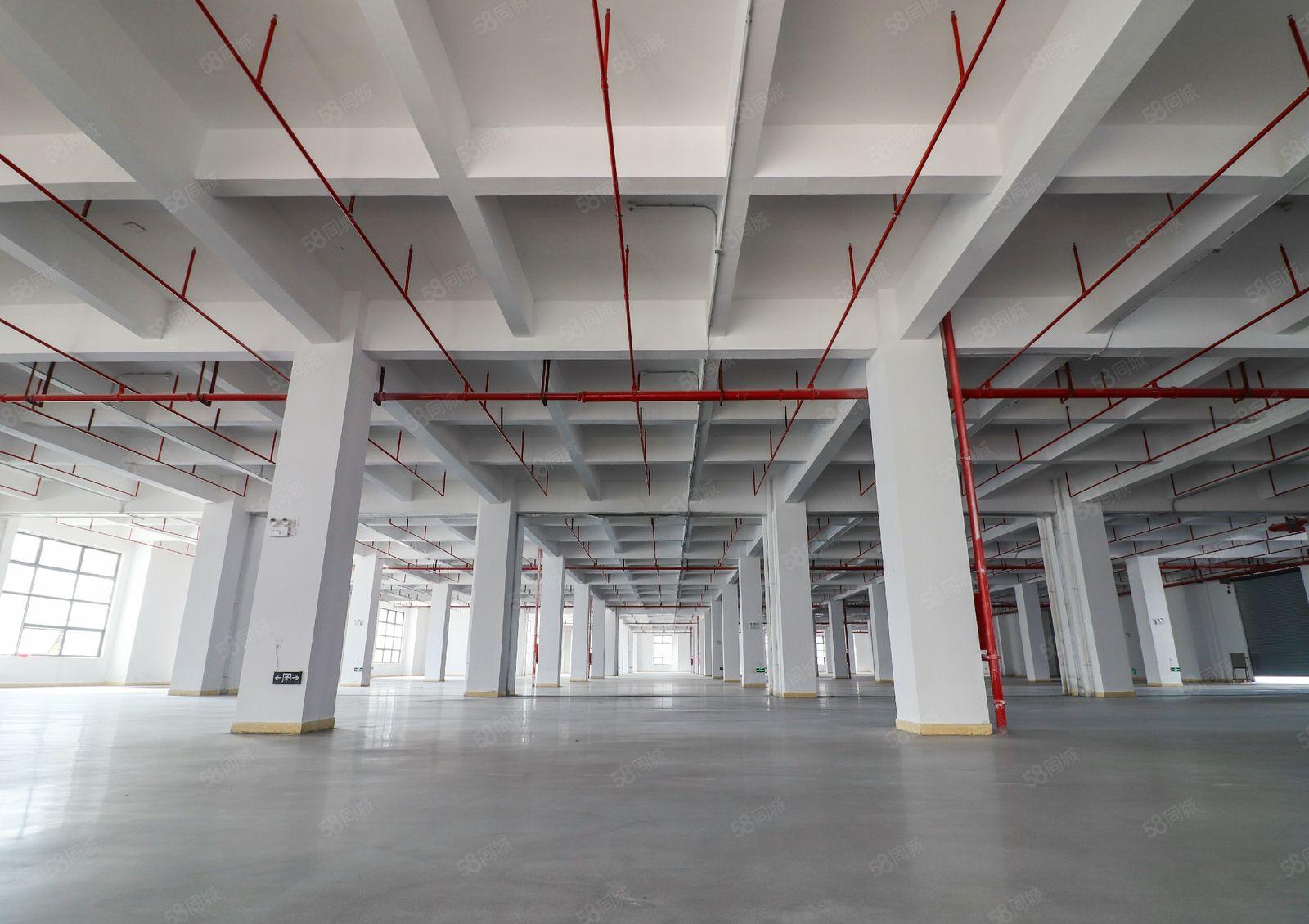 临深圳，黄江整层7750平米工业厂房业主直租，形象好可办环评