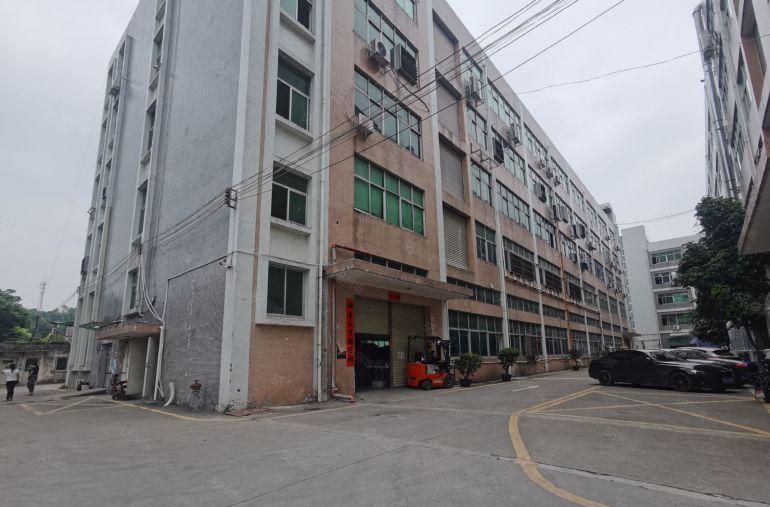 观澜桂花实际面积厂房出租楼上1000平米，19元平米水电到