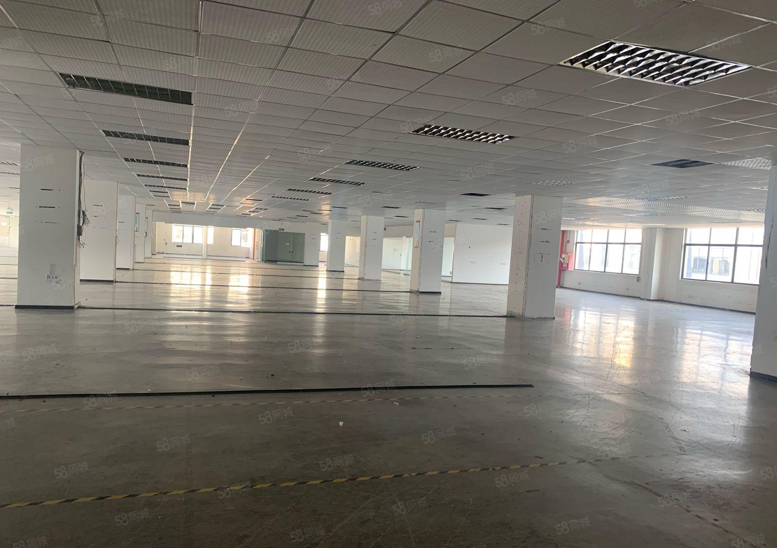 龙华大浪原房东红本实际面积1620平整层大平层厂房出租，可分