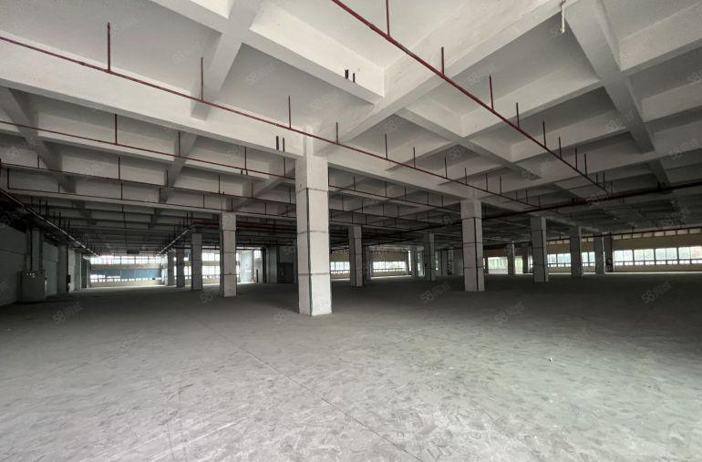 龙华物流园每层高6米厂房仓库出租20000平大小可分拖头随进