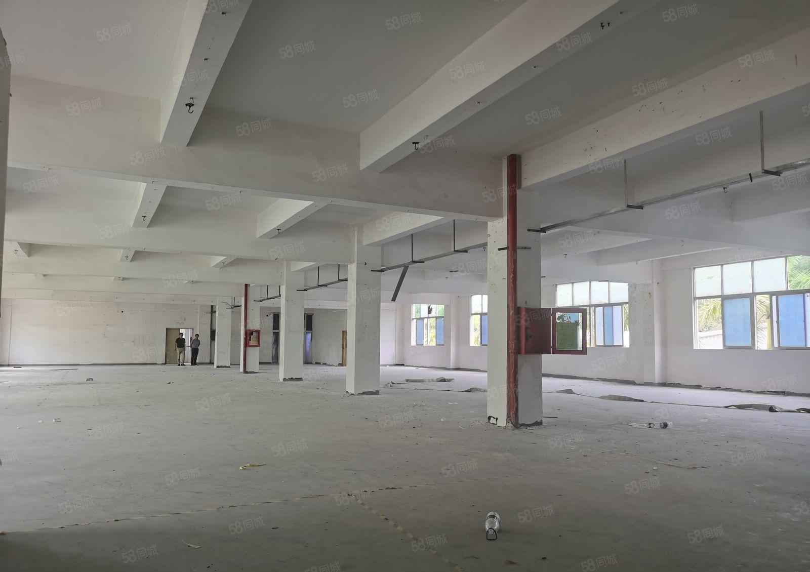 观澜和清湖交界的大和附近独院厂房出租，面积4000平米可分租