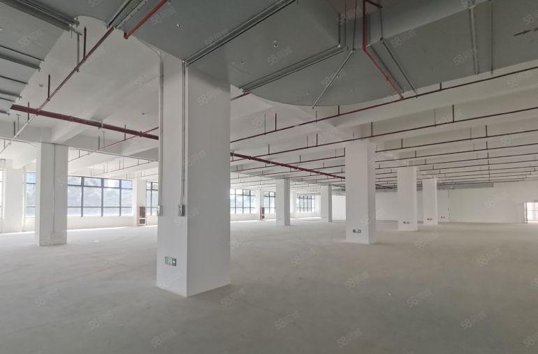 龙华新建红本标准厂房单层3600平起，交通方便，地铁口，含税