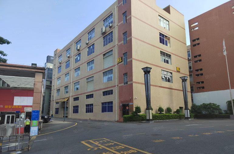 龙华大浪650平精装办公室加车间仓库低价出租200平起可分租