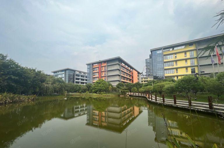 龙华民治 独门独院8000平研发办公厂房出租500起租