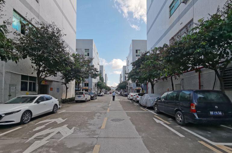 龙华观澜章阁大富工业区实际面积厂房出租带装修水电齐全660平