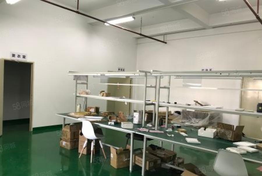 龙华大浪主干道边上现成装修厂房300平出租，没有转让费