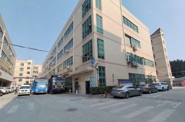 观澜章阁原房东豪华精装修600平米无公摊仓库厂房出租