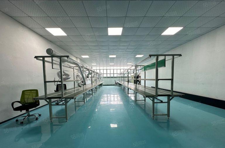 龙华大浪商业中心600平豪华装修厂房仓库出租家私齐全