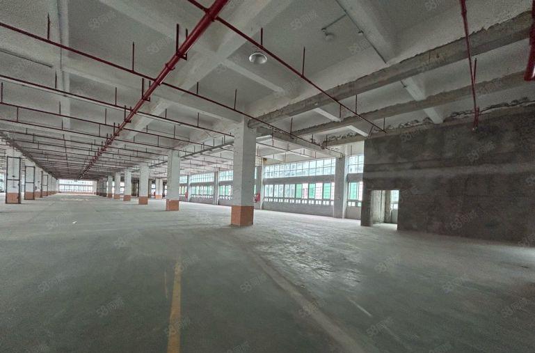 楼上25元深圳北站附近带卸货平台5000平厂房仓库出租可分租