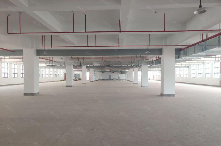 无公摊15元起租深圳观澜牛湖大浪3千平红本一楼仓库厂房出租