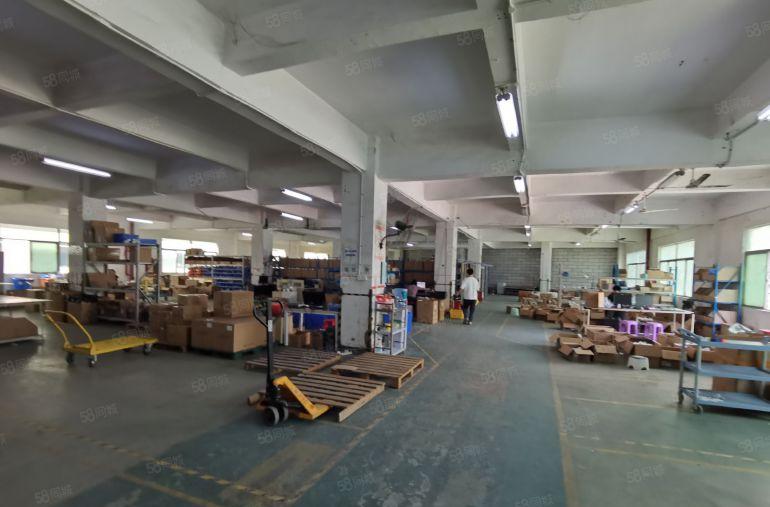 龙华区原房东一楼560平方和1640平方招租，实际面积33元