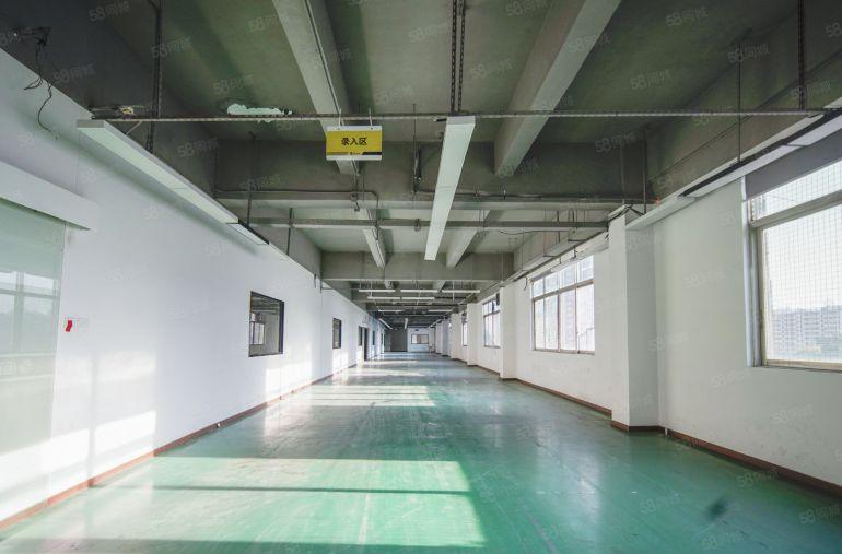 龙华清湖高速口700平米精装修厂房业主直租，可做办公小加工