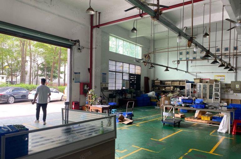 龙华大浪一楼厂房480平出租，一整层使用率高，层高6米