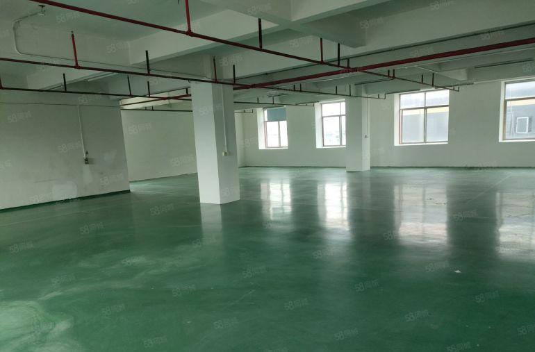 龙华浪口宝柯工业园精装修830平米厂房出租