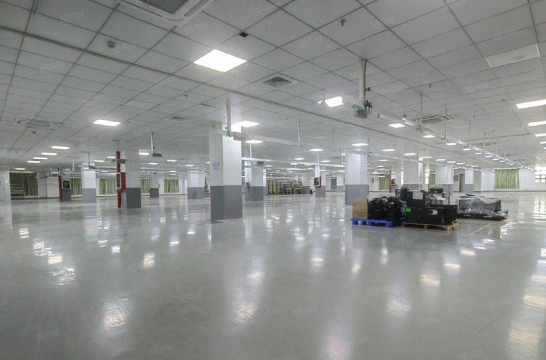 龙华大浪2000平楼上豪华装修红本仓库厂房出租，300平起分