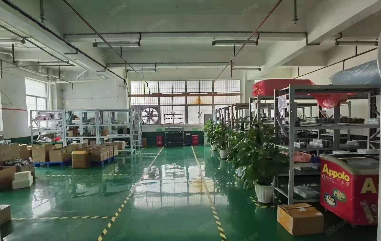 花园式厂房1000平米带豪华装修