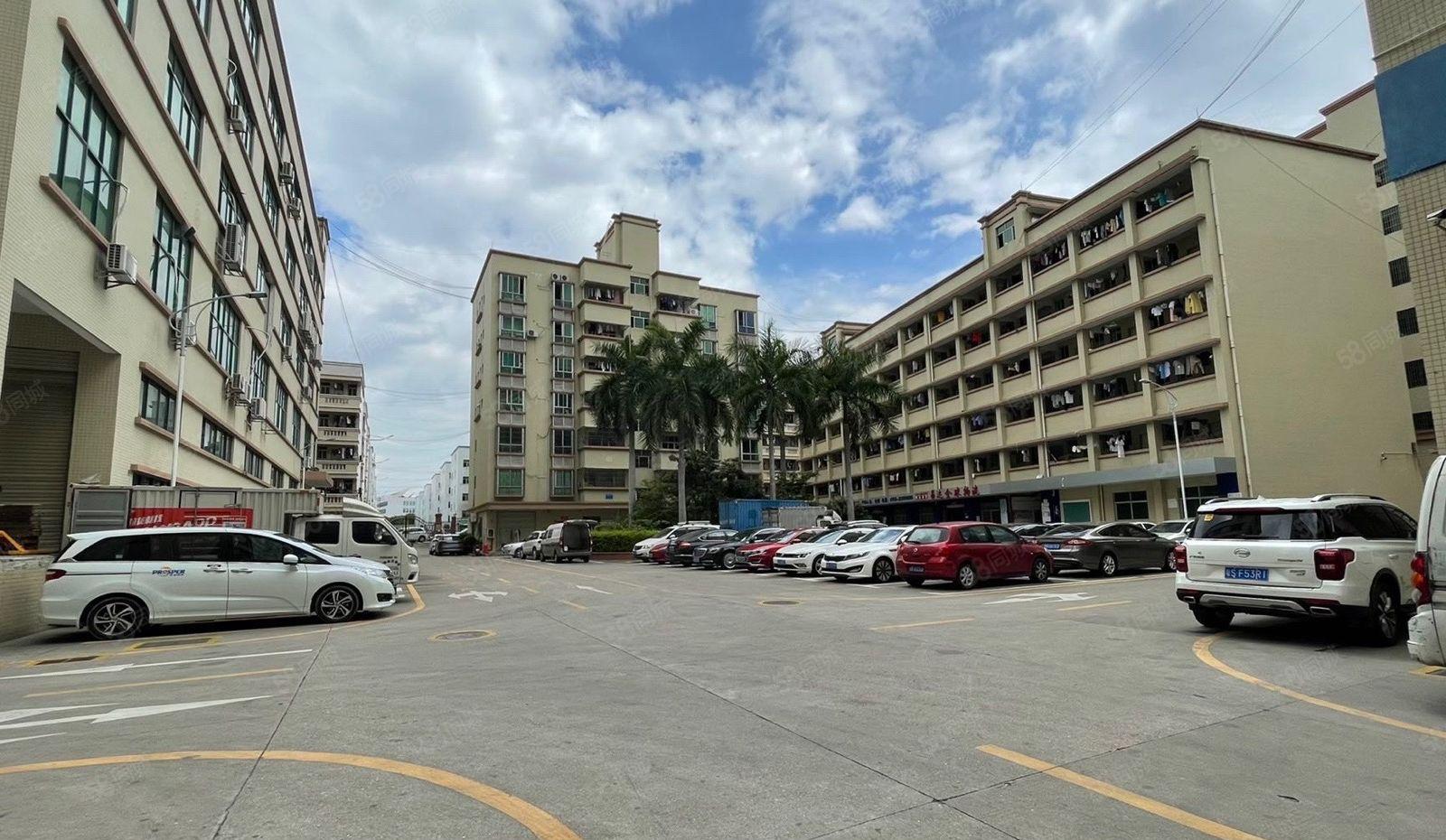 龙华楼上1000平方精装修大浪工业园仓库厂房出租可分租原房东