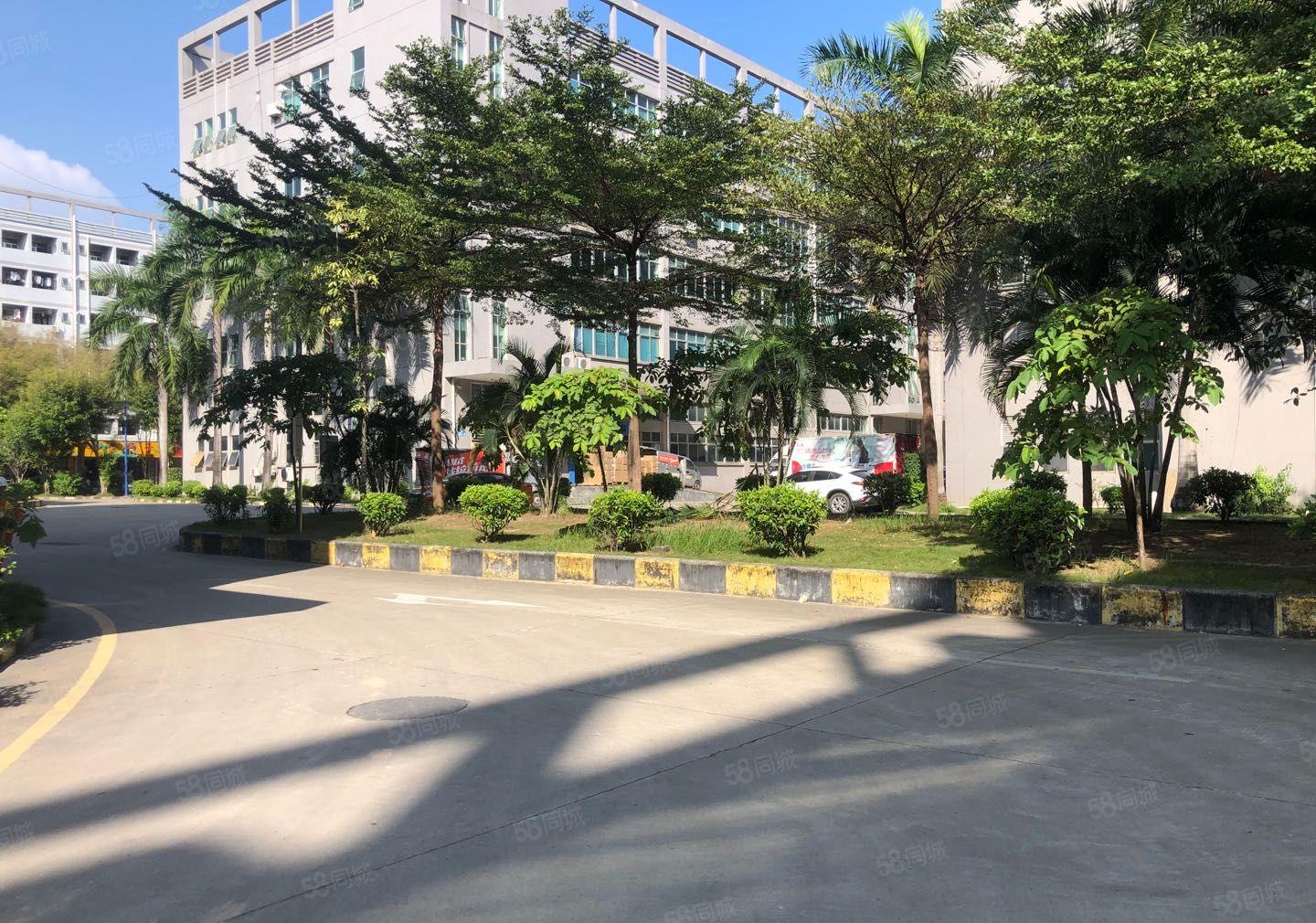 龙华大浪新空出原房东实际面积550平带精装修办公可生产