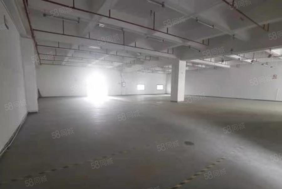 龙华原房东厂房出租1000平，大型园区，仓库，生产小加工
