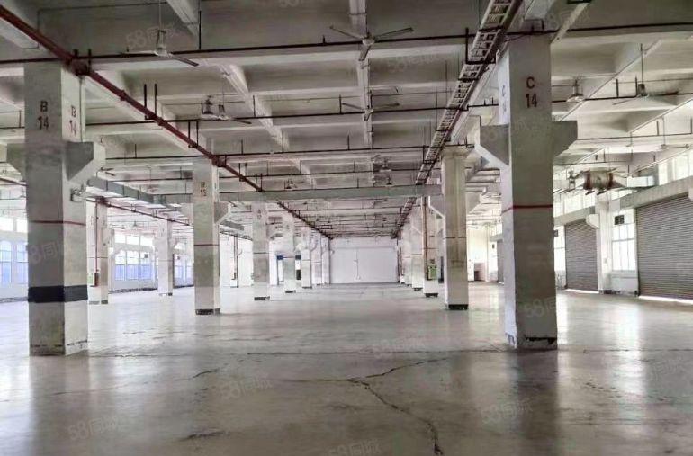 1000平起独门独院原房东工业红本厂房实际面积出租周边配套齐