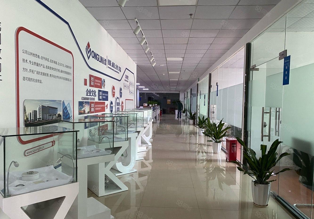 观澜樟坑径3000平方精装修一楼二楼仓库红本厂房出租 可分租