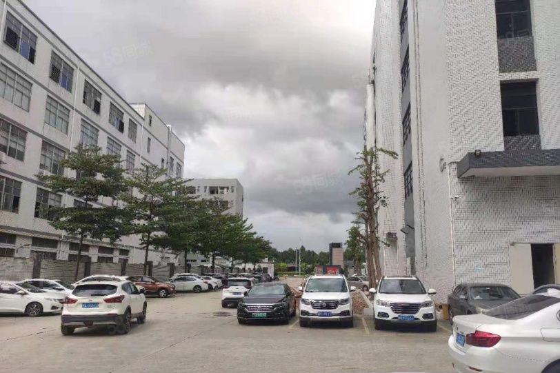 大浪1600平26元无公摊房东直租