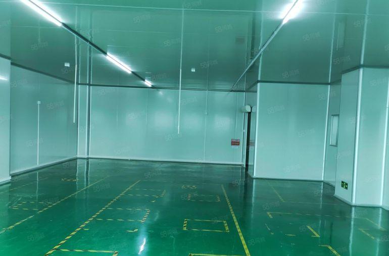 龙华大浪新出无尘车间540厂房业主直租，有现成水电