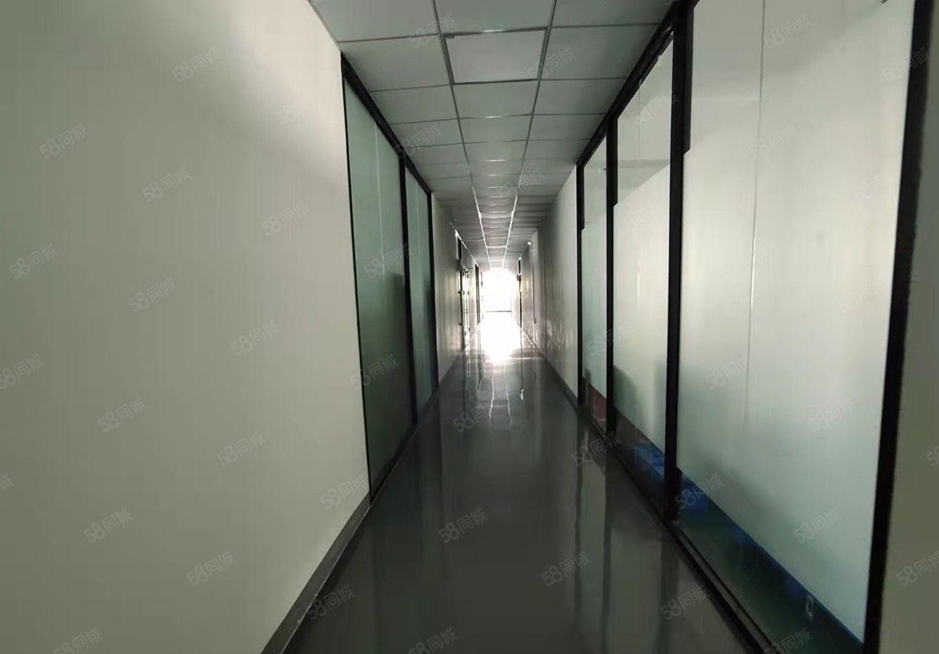 龙华天虹商场附近新出楼上精装厂房360平