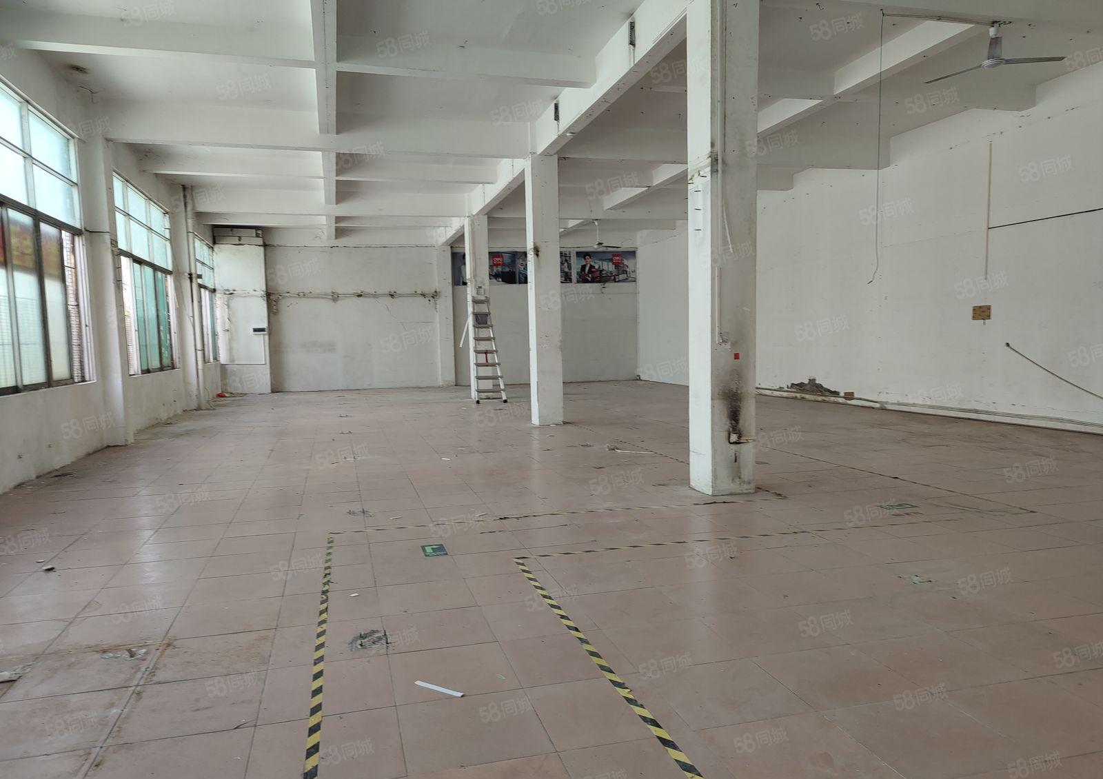 龙华大浪一楼仓库厂房出租，大型园区1000平